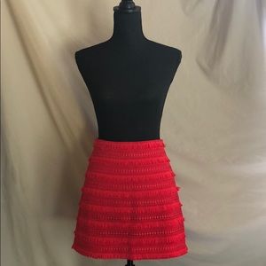 JCrew Skirt